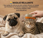 🐾 Cepillo a vapor 3 EN 1