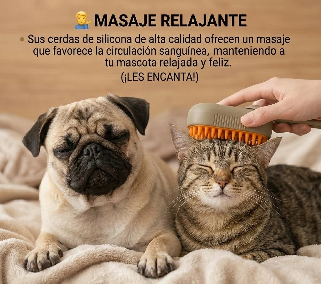 🐾 Cepillo a vapor 3 EN 1